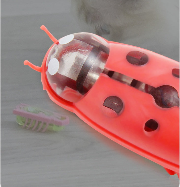 Mini Electric Ladybug Cat Toy Cat Interactive Play Toy Funny Cat Interactive Cat Toy