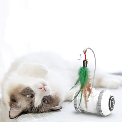 Interactive Cat Feather Toy with Interchangeable Heads 