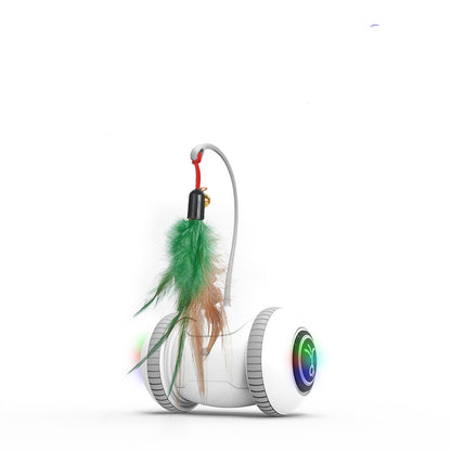 Interactive Cat Feather Toy with Interchangeable Heads 