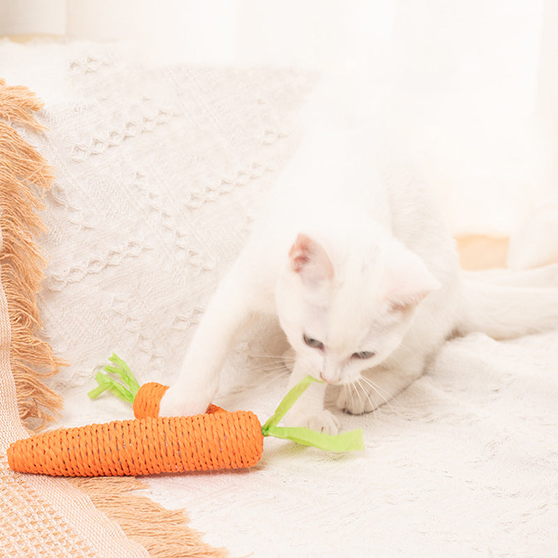 interactive cat chew toys
