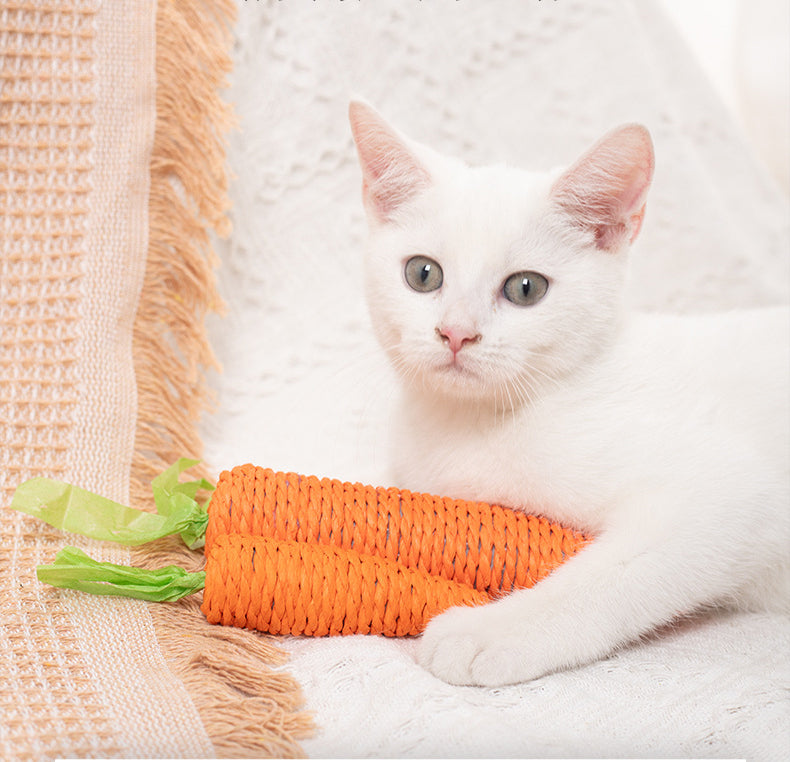interactive cat chew toys